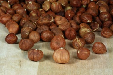 Shelled Hazelnuts. clipart