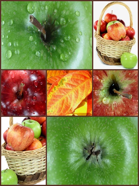 Foto collage hösten äpplen. — Stockfoto