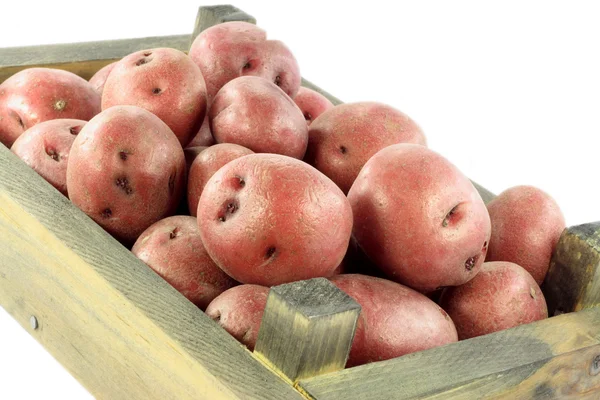 Röda mini potatis i låda. — Stockfoto