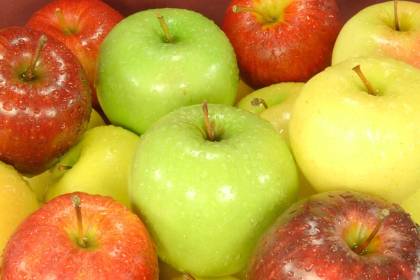 Erilaisia omenoita . — kuvapankkivalokuva