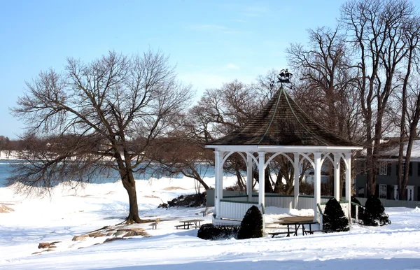 Riverside Park Arasında Niagara Nehri Waterside Sırasında Belgili Tanımlık Kış — Stok fotoğraf