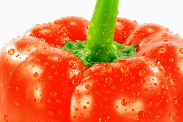Red Pepper - close up. — Stock Photo, Image