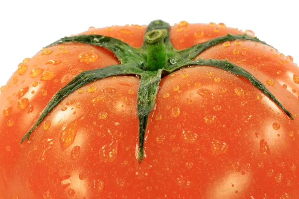 Lähikuva Kuva Tomaatti Peitetty Vesipisaroita Valkoisella Pohjalla — kuvapankkivalokuva