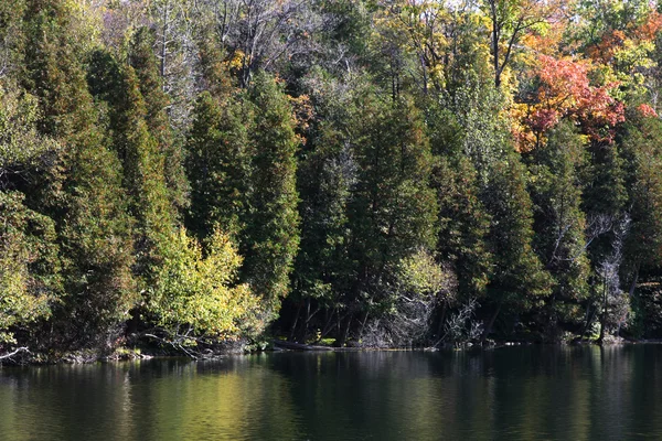 美しい太陽の木から照らされた秋の初めに色や水の反射 — ストック写真