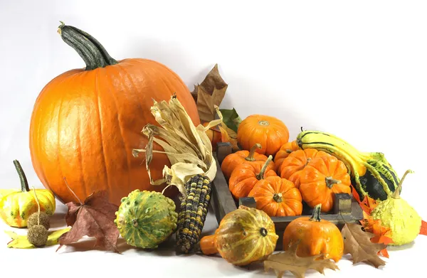 Traditional Symbols Thanksgiving Day — Stock Photo, Image