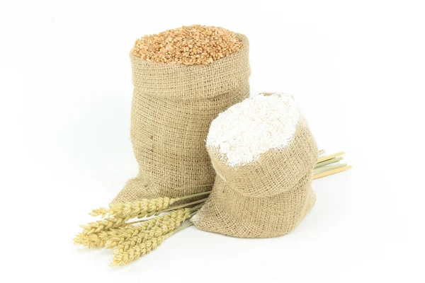 小麦 - 植物、カーネル、小麦粉. — Stock fotografie