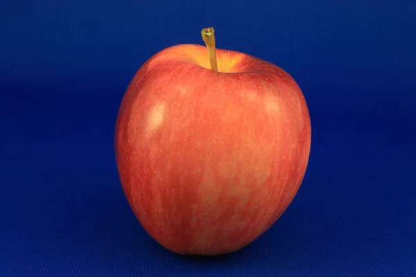 Ενιαίο Κόκκινο Μήλο Σκούρο Μπλε Φόντο — Φωτογραφία Αρχείου