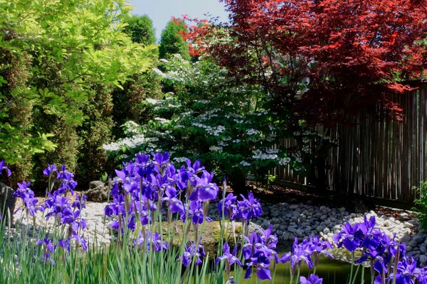 hala renkli resmi Japon tarzı Bahçe köşesinde düzenlenmiş çiçek, çalı, çiçekleri ağaçlar, göl ve nehir kaya.
