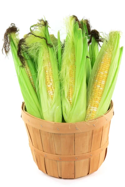 Still Picture Corncobs Leaves Corn Silk Wooden Basket Bushel White — Stock Photo, Image