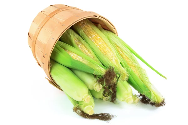 Pile Ears of fresh corn. — Stock Photo, Image