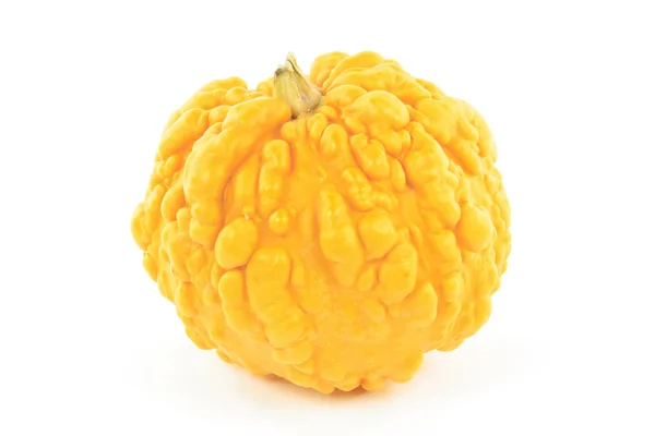 Still Picture Yellow Spherical Pebbled Gourd Squash Warty Skin White — Stock Photo, Image