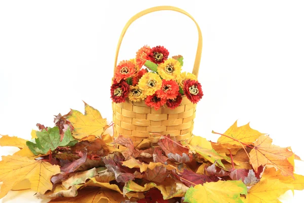 Herbstblumen Trockene Blätter Und Holzkorb Typisch Für Die Herbstzusammensetzung Vor — Stockfoto