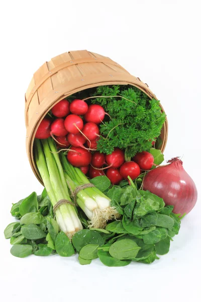 Spilled Wooden Bushel Basket Organic Baby Spinach Fresh Onion Radishes — Stock Photo, Image