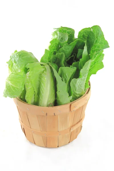 Wodden Bushel full with green salads. — Stock Photo, Image
