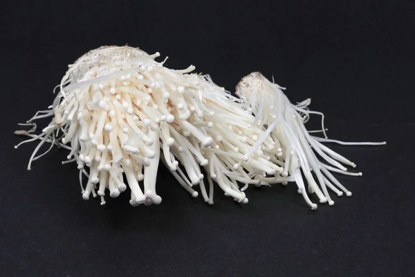 Фотография крупным планом органического гриба Эноки . — стоковое фото
