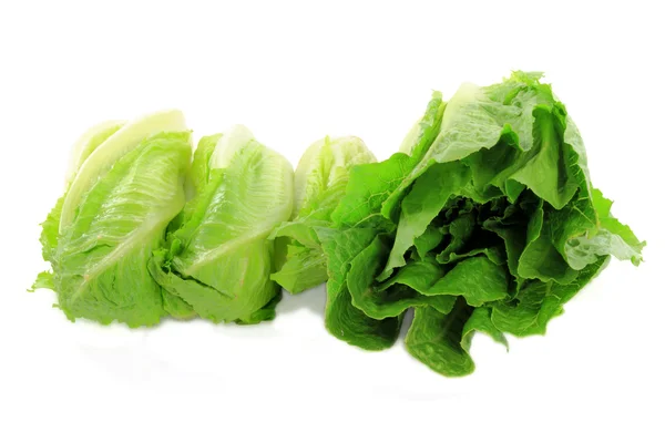 白い背景の上のグリーン サラダ ロメイン レタス製品の異なるタイプの杭の静物写真 — ストック写真
