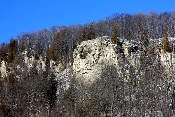 Cliff of Niagara Escarpment . — Zdjęcie stockowe