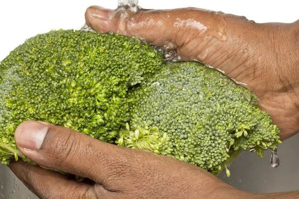 Mencuci brokoli — Stok Foto