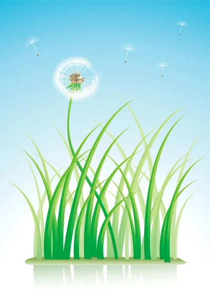 Dandelion and grass — Stock Vector