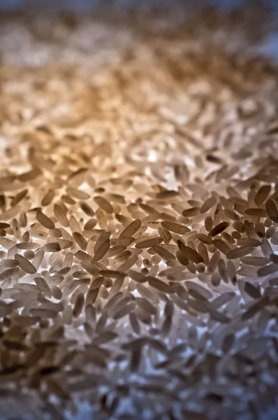 쌀 알갱이 — 스톡 사진