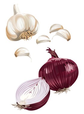 Garlic and Onion clipart