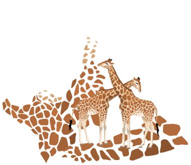 Giraffe clipart