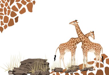 Illustration of giraffe with space for text clipart