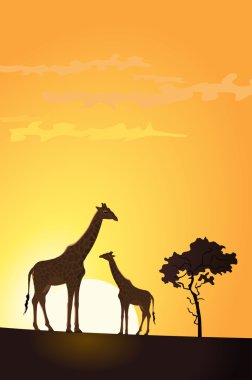 Illustration of two giraffes in the sunset clipart