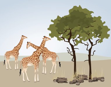 Giraffe clipart