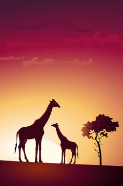 Giraffe clipart