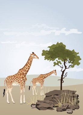 Giraffe illustration with wild landscape of Africa clipart