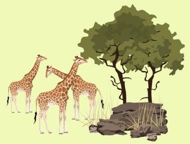 Giraffe illustration with wild landscape of Africa clipart