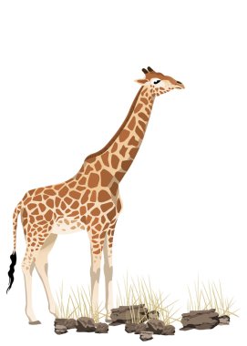 Illustration of giraffe with space for text clipart