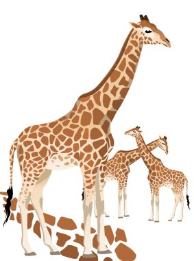 Giraffe clipart