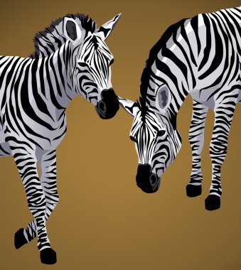 Illustration of zebras with space for text clipart