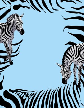 Zebra clipart