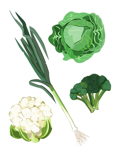 Pinces Légumes Isolées Sur Fond Blanc — Image vectorielle