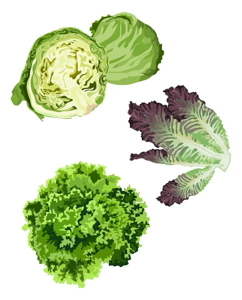 Vegetable Clip Arts Isolated White Background — Stock Vector