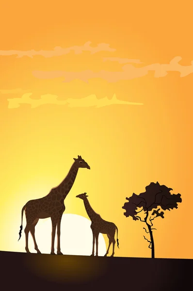 两只长颈鹿在夕阳下的插图 — 图库矢量图片