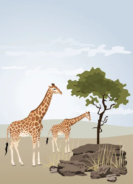 Illustrazione Giraffa Con Paesaggio Selvaggio Dell Africa — Vettoriale Stock
