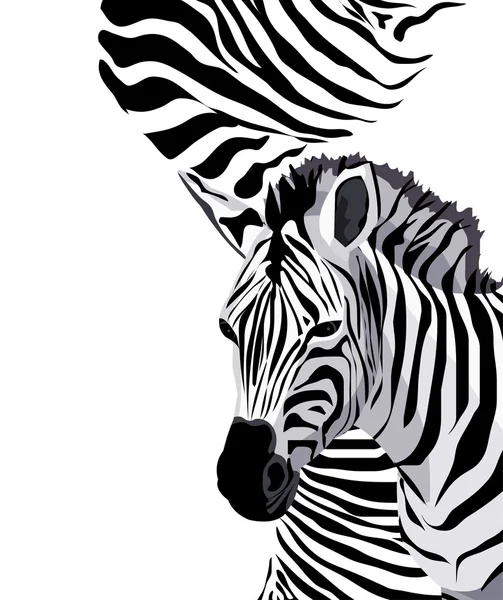 Ilustración Cebras Con Espacio Para Texto — Vector de stock
