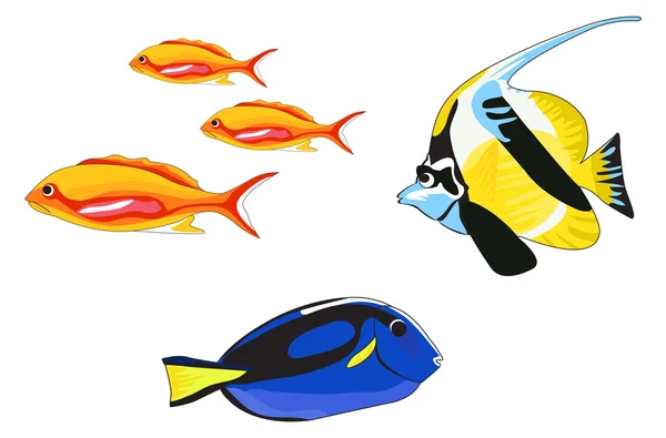 Tropické ryby — Stockový vektor