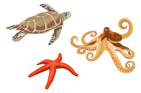 Sköldpadda, bläckfisk och sjöstjärnor — Stock vektor