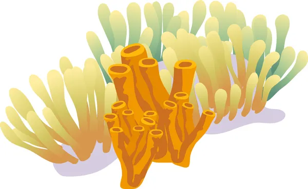 Ілюстрація Коралових Рифів Ізольована Білому Тлі — стоковий вектор