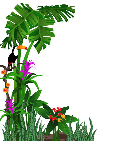 Background illustration of a tropical forest with flowers and a toucan