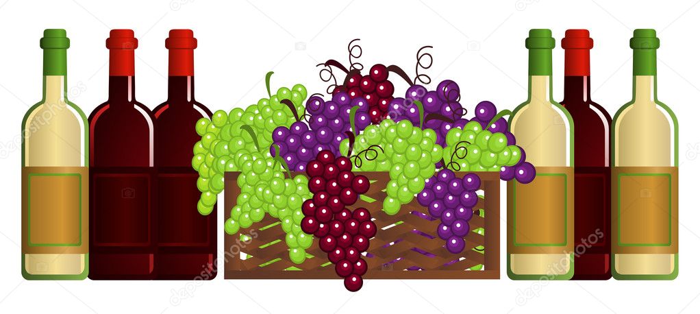 İllustration with wine and fruits on white background
