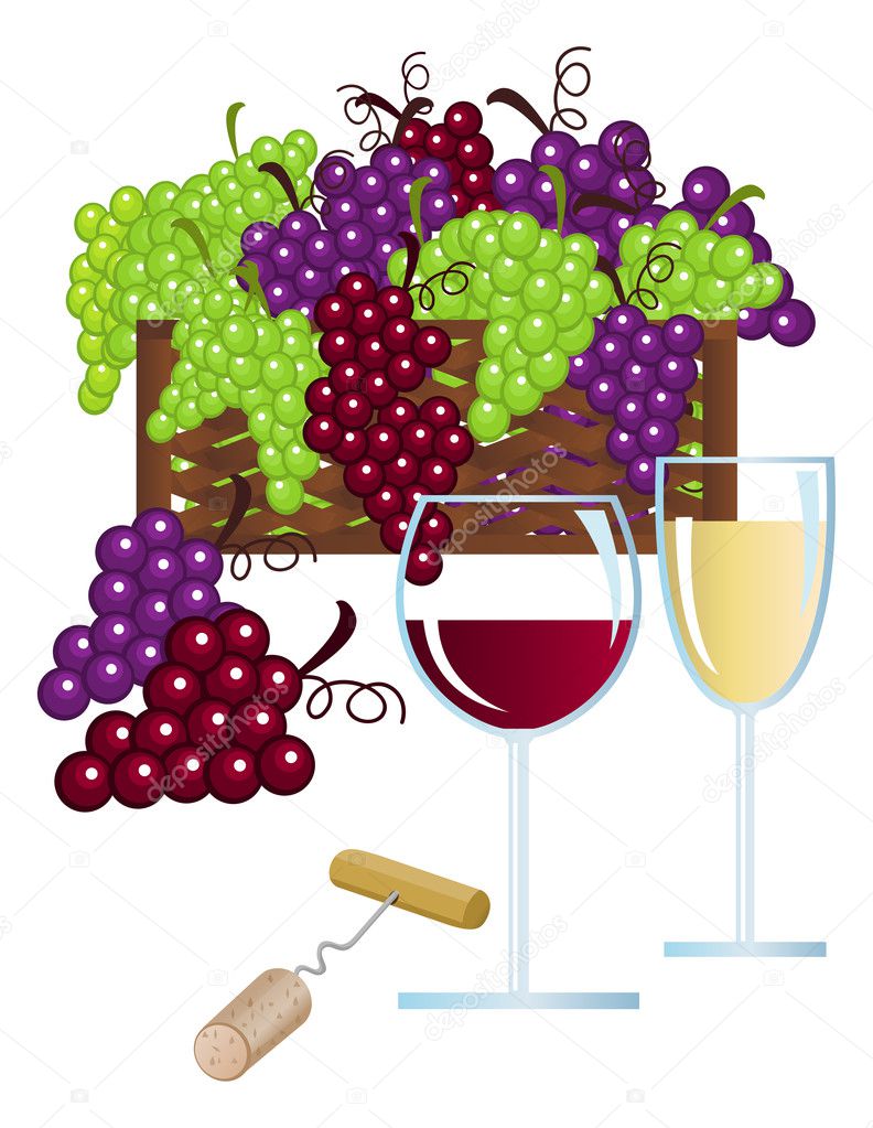 İllustration with wine and grapes on white background