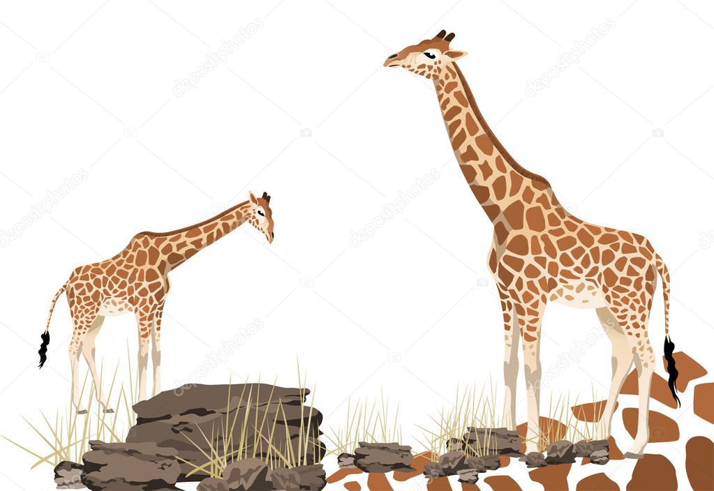 Illustration of giraffe with space for text