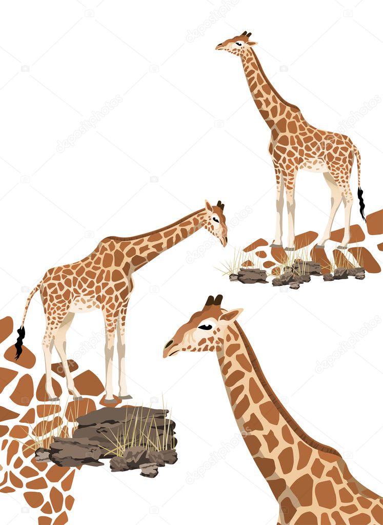 Illustration of giraffe with space for text