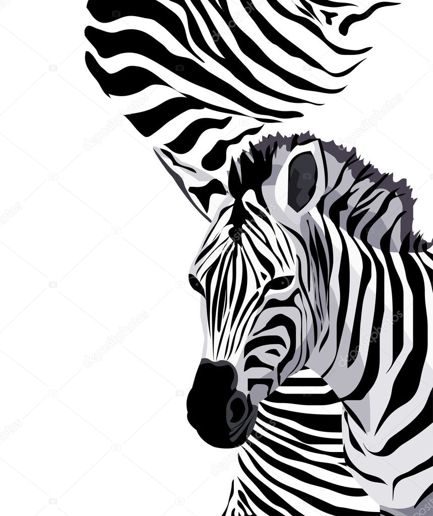Illustration of zebras with space for text